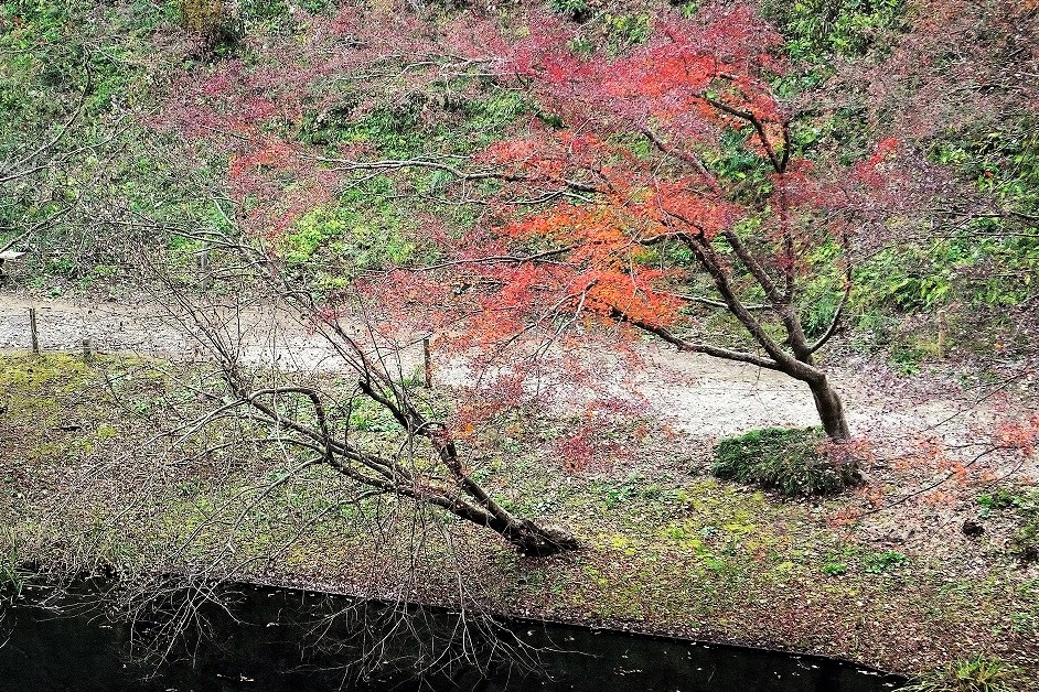 b0236251_11144135.jpg