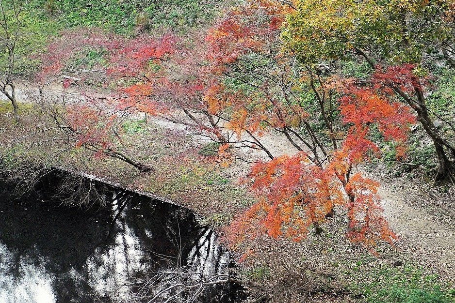 b0236251_11144740.jpg