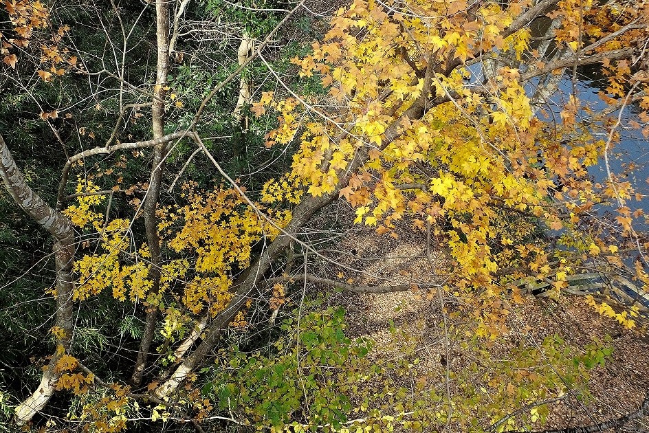 b0236251_11152934.jpg