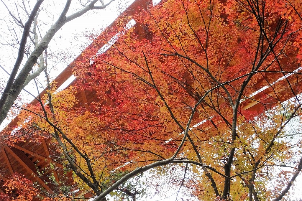 b0236251_11213819.jpg