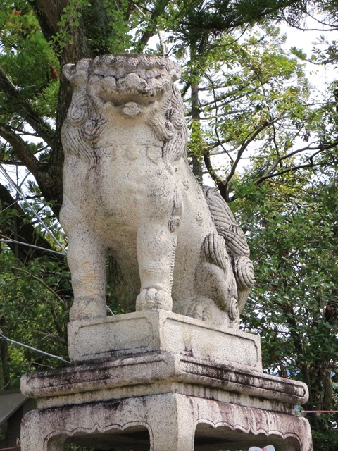 e0017051_2324634.jpg
