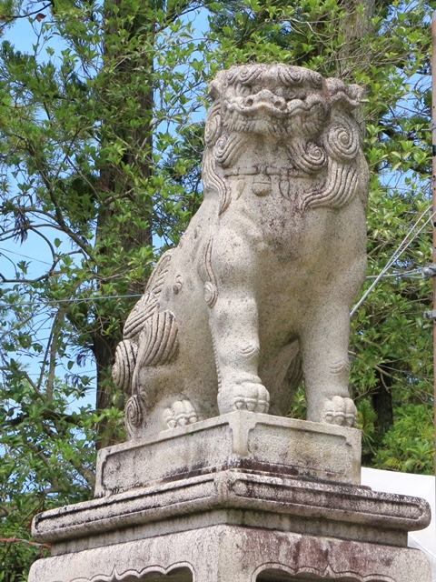 e0017051_2325318.jpg