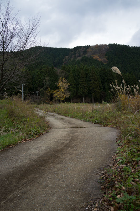d0342652_1510506.jpg