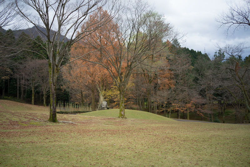 d0342652_1565561.jpg