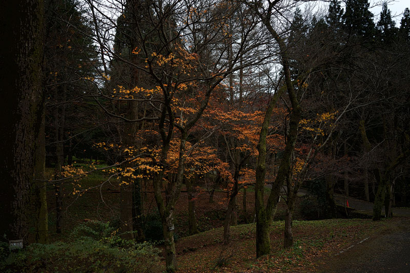 d0342652_158144.jpg