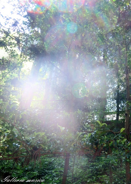 f0351853_02223244.jpg