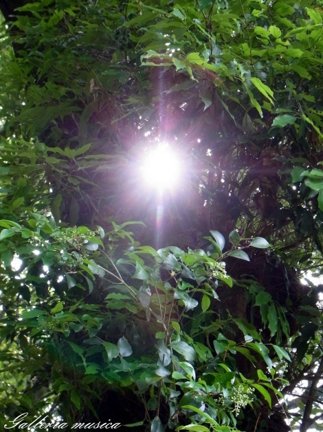 f0351853_02235576.jpg