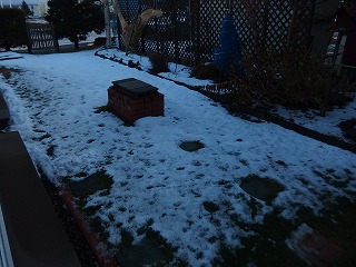 e0004756_20265668.jpg