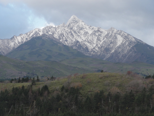 d0029363_00979.jpg