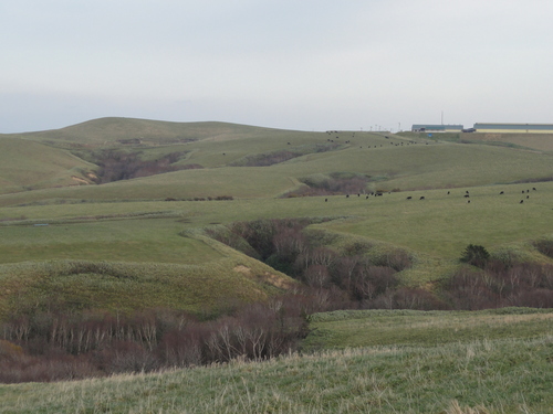 d0029363_2312164.jpg
