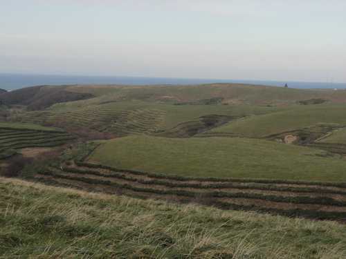 d0029363_23124639.jpg