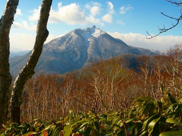e0122168_11062428.jpg