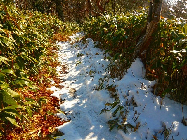 e0122168_11065368.jpg