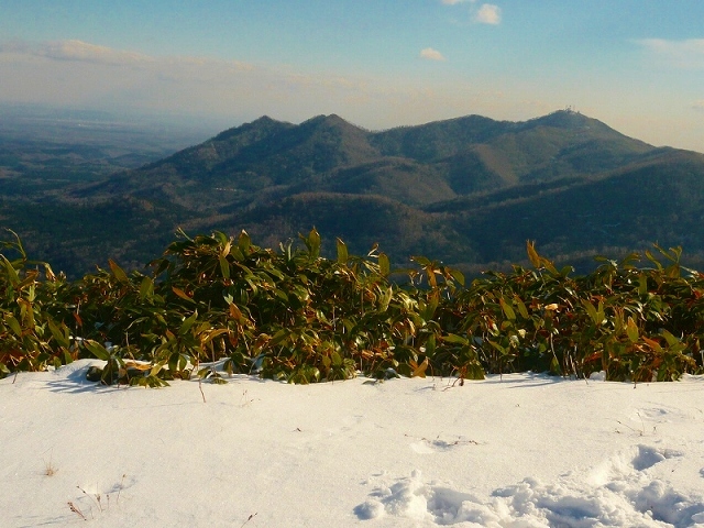 e0122168_11065768.jpg