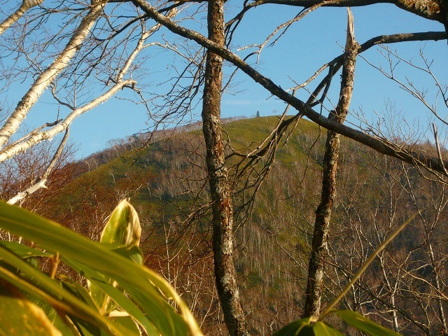 e0122168_11121155.jpg