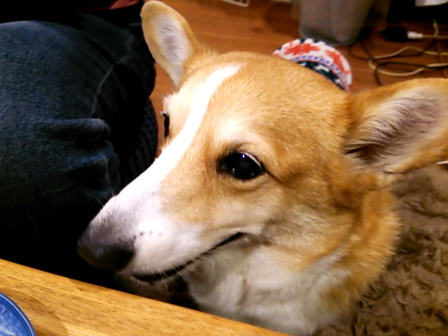 f0000673_018303.jpg