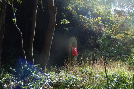 c0144185_220414.jpg