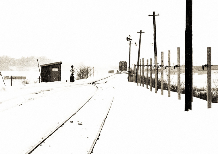 f0374385_17485879.jpg