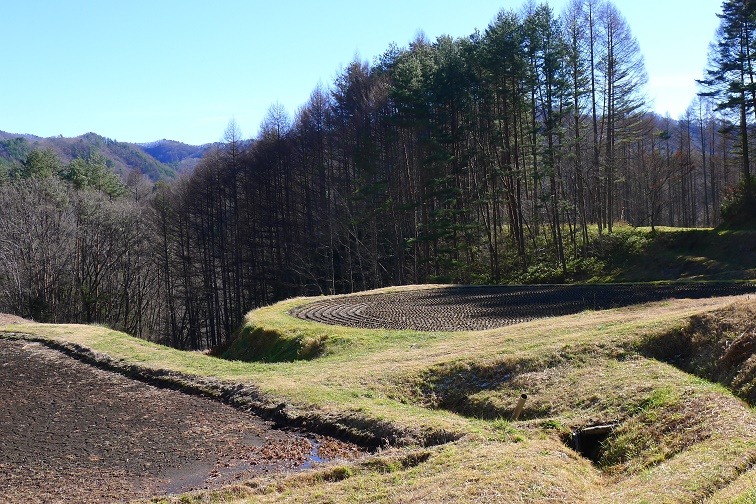 a0130586_15384785.jpg