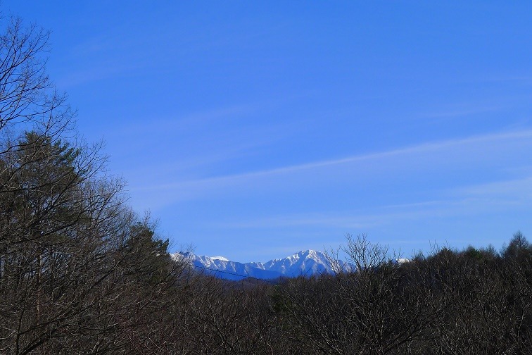 a0130586_15531985.jpg