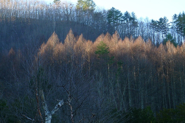 a0130586_9303849.jpg