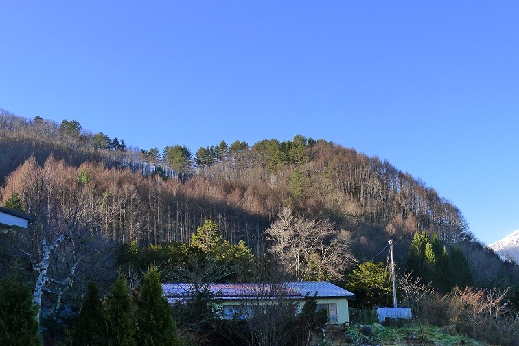 a0130586_9323316.jpg