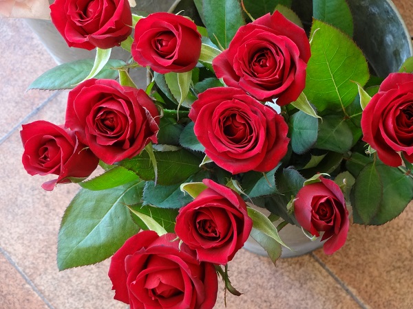 e0140986_161842100.jpg