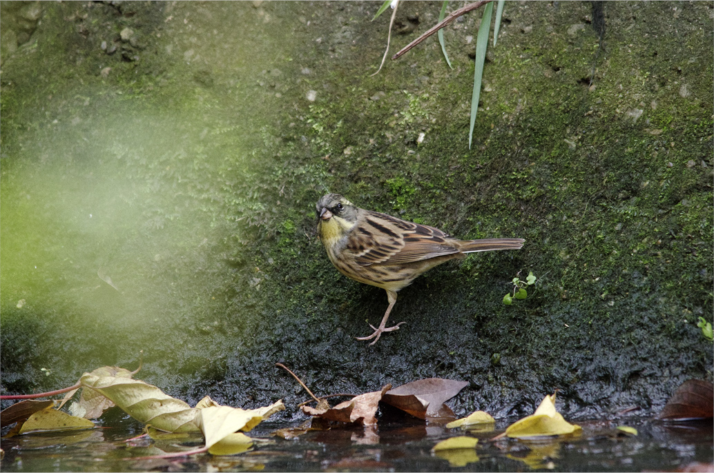 d0209988_2333980.jpg