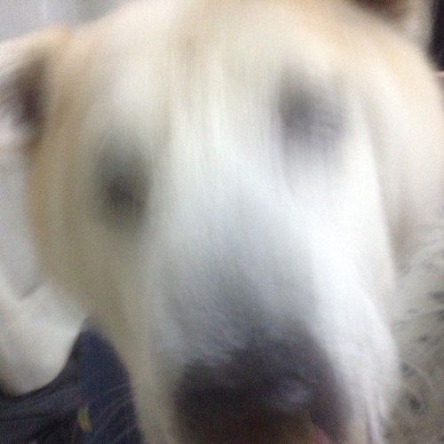 c0123890_1611927.jpg