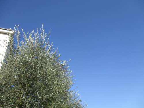 d0333091_177549.jpg