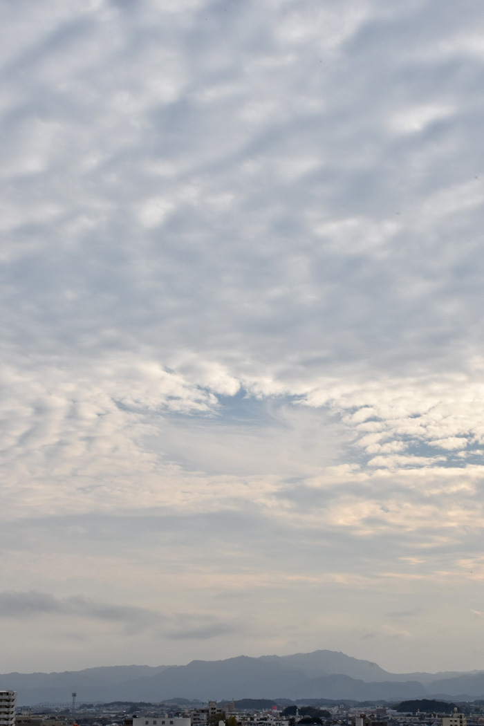 c0049299_23115385.jpg