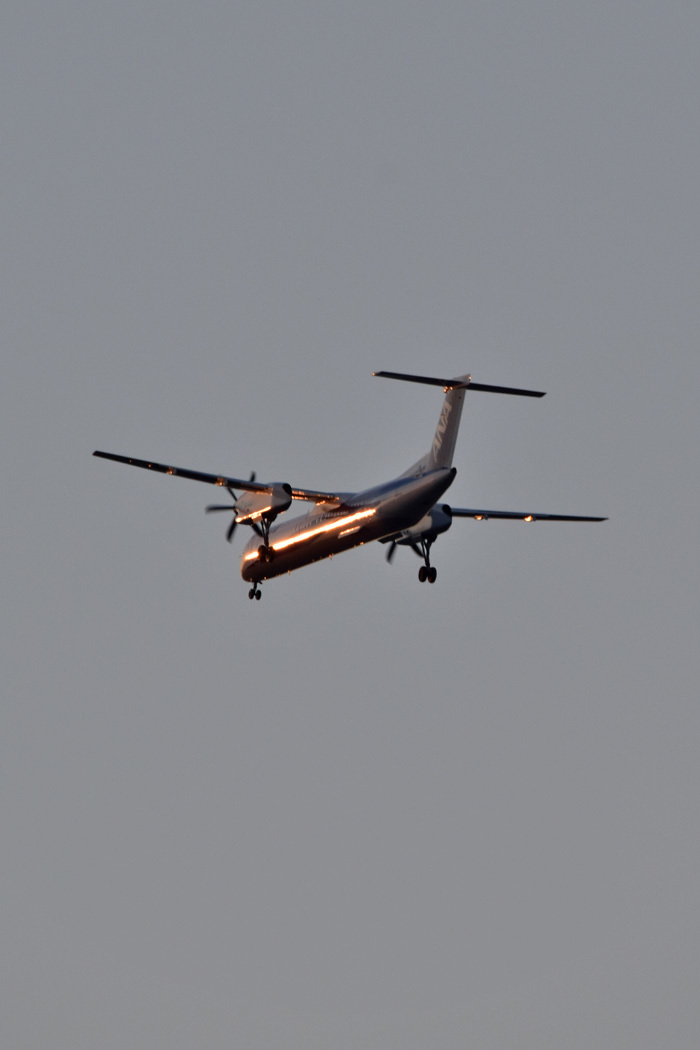 c0049299_23122362.jpg