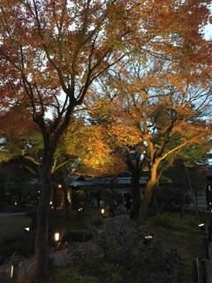 b0128101_20435653.jpg
