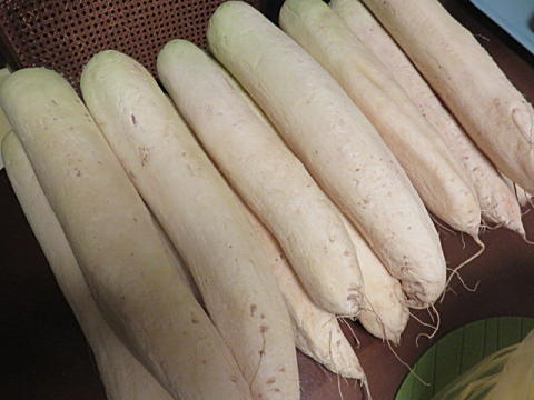d0046702_6585720.jpg