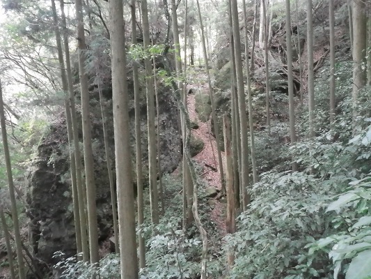 f0187402_19461087.jpg
