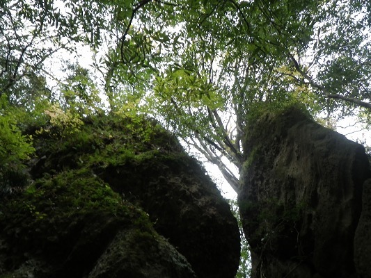 f0187402_19464647.jpg