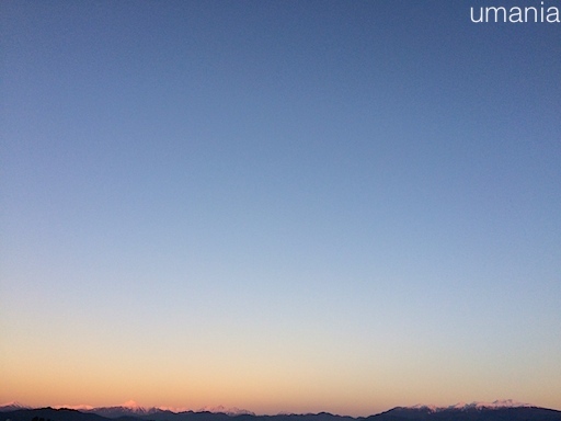 b0061004_20492397.jpg