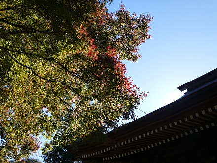 b0125808_21375218.jpg