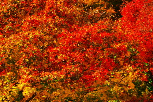 a0263109_21223035.jpg