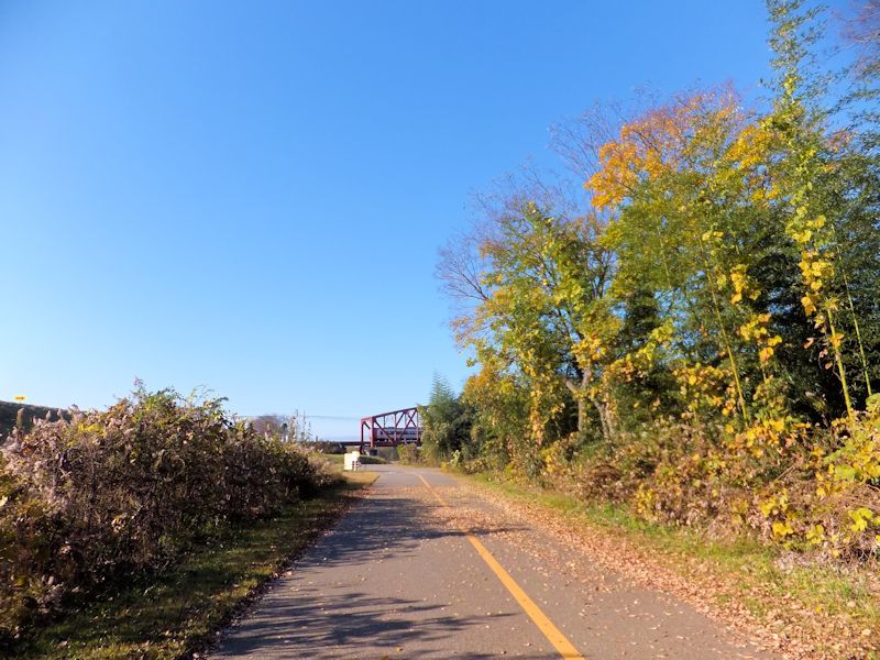b0000209_21172055.jpg