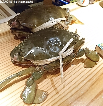 c0156212_15321452.jpg