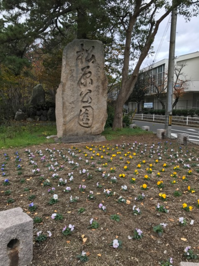 a0070715_15343746.png