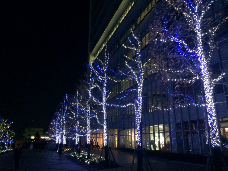 e0255717_9323899.jpg