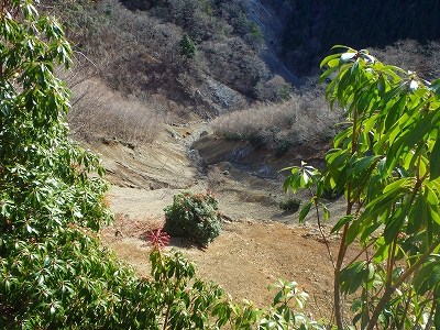 f0193521_2130157.jpg