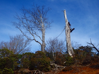 f0193521_21313550.jpg