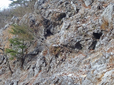 f0193521_21381134.jpg
