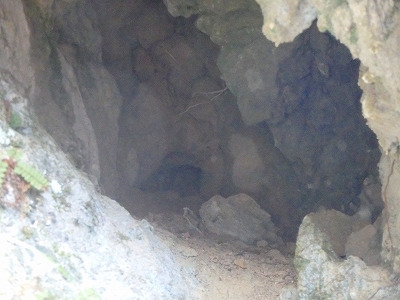 f0193521_21411481.jpg