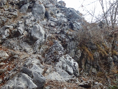 f0193521_21421627.jpg