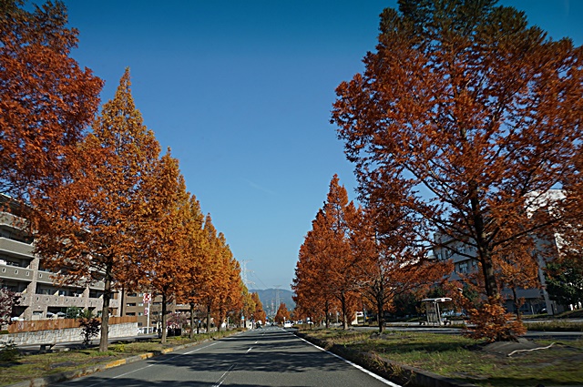 b0068423_17281133.jpg