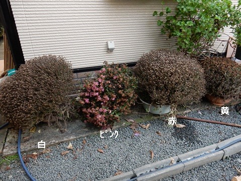 e0033229_1823845.jpg